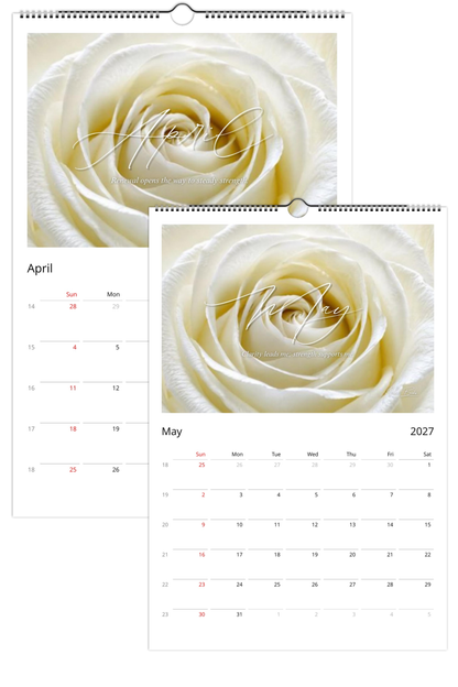 White Rose 2027 Wall Calendar | Clarity, Renewal & Strength
