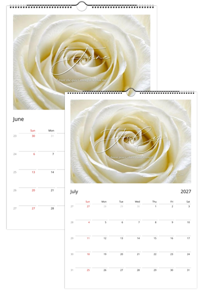 White Rose 2027 Wall Calendar | Clarity, Renewal & Strength