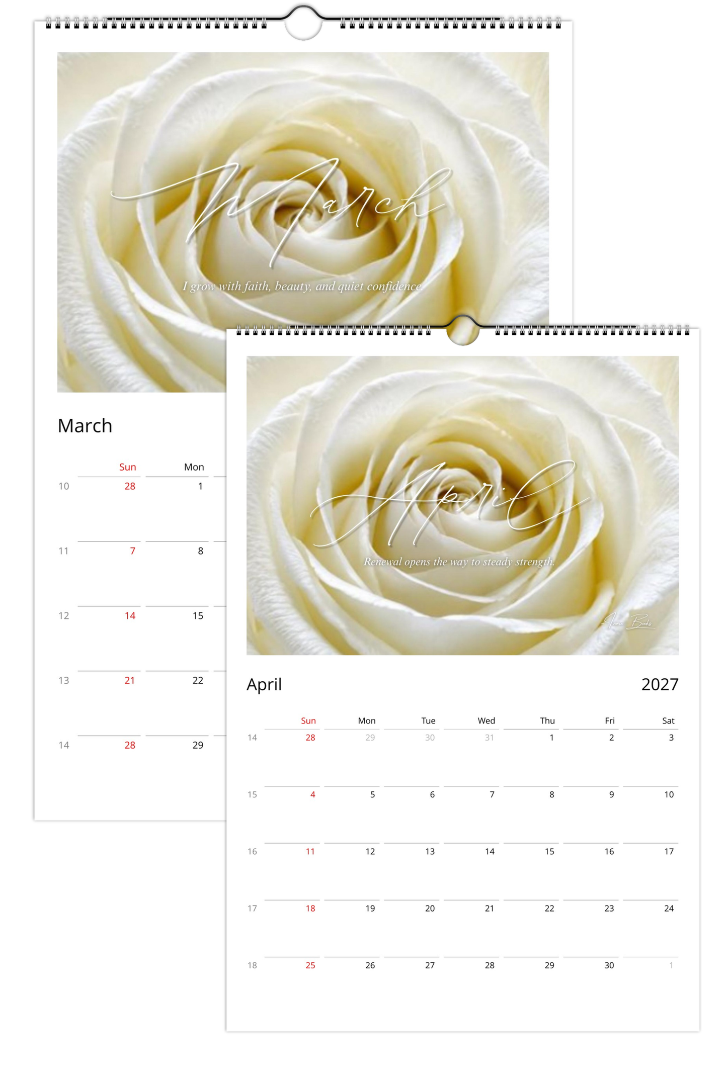 Complete Signature Rose Collection | An 8 Product Gift Set