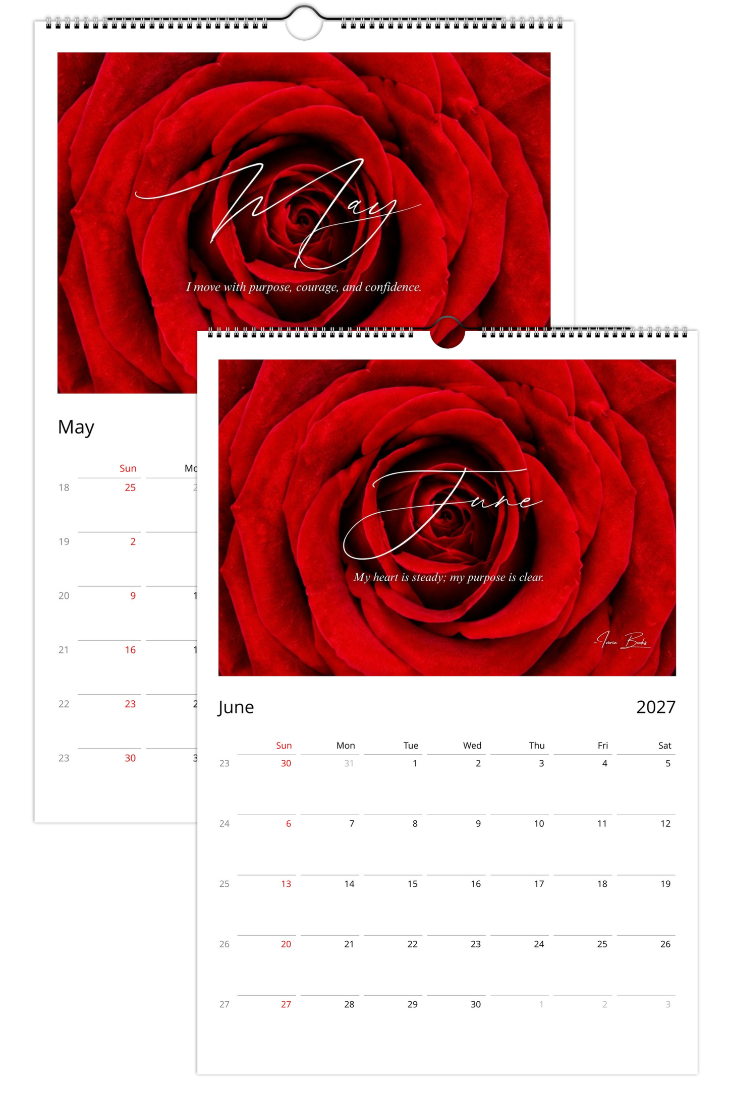 Complete Signature Rose Collection | An 8 Product Gift Set