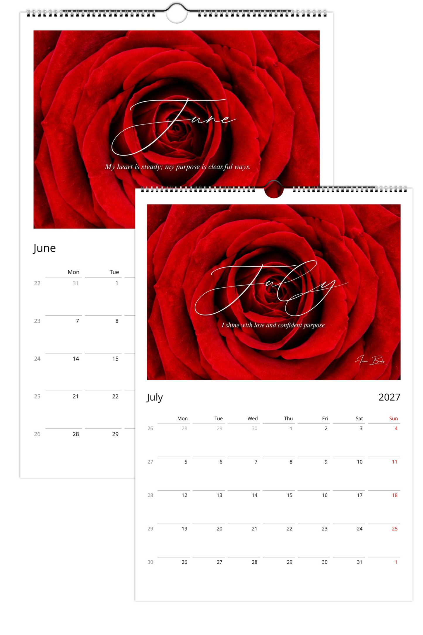 Approved Red Rose 2027 Calender