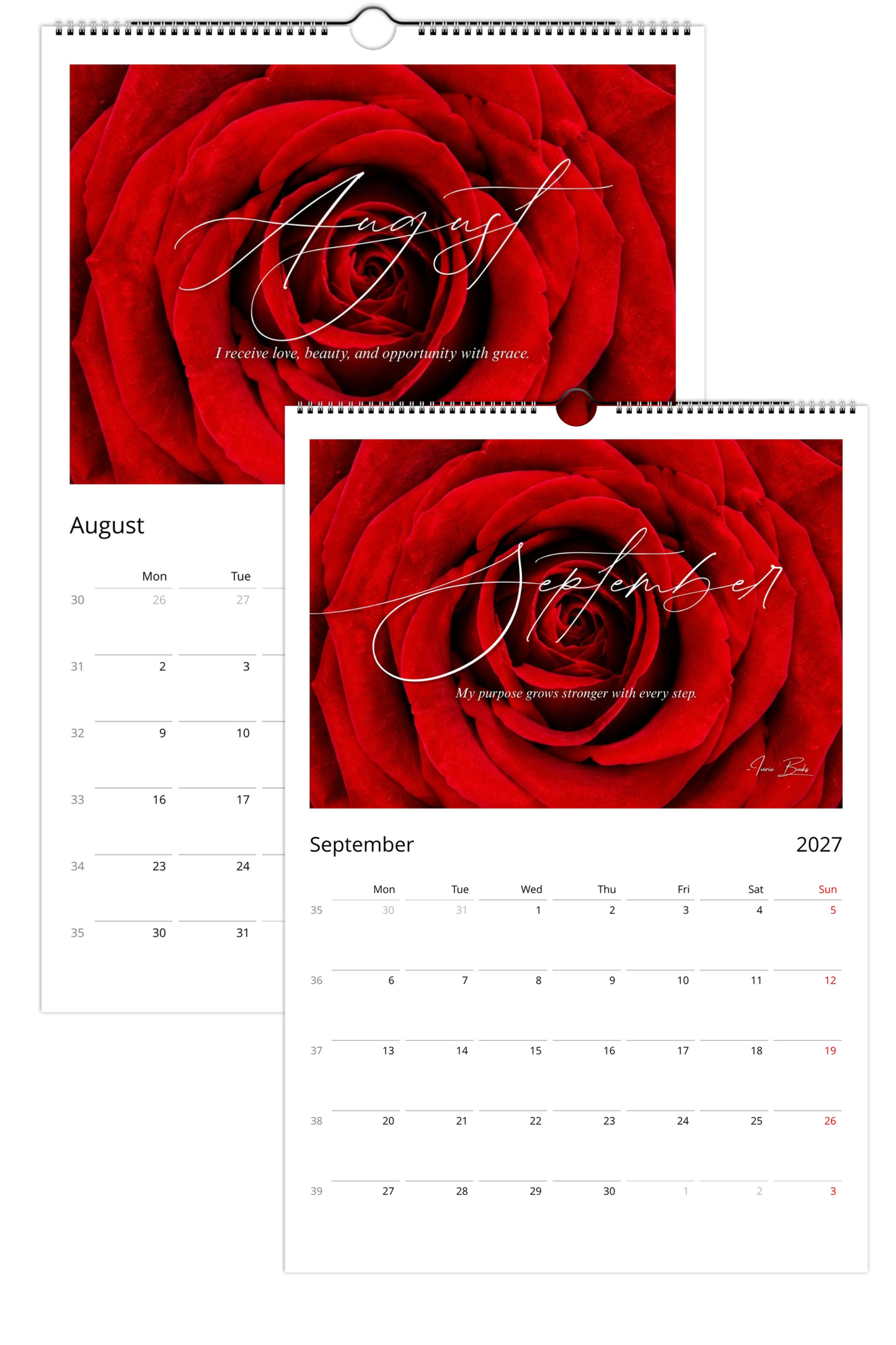 Approved Red Rose 2027 Calender