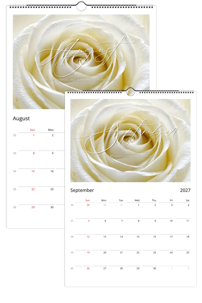 White Rose 2027 Wall Calendar | Clarity, Renewal & Strength