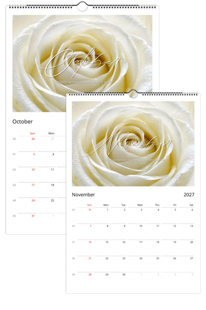 White Rose 2027 Wall Calendar | Clarity, Renewal & Strength