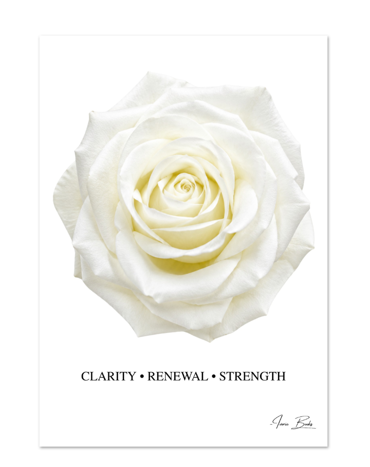 White Rose Affirmation Poster — Clarity, Renewal & Strength | 28x40 in