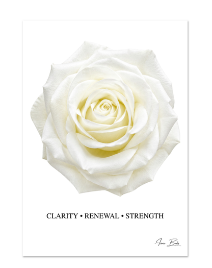 White Rose Affirmation Poster — Clarity, Renewal & Strength | 28x40 in