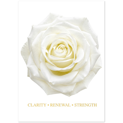 White rose greeting card with clarity renewal and strength message.