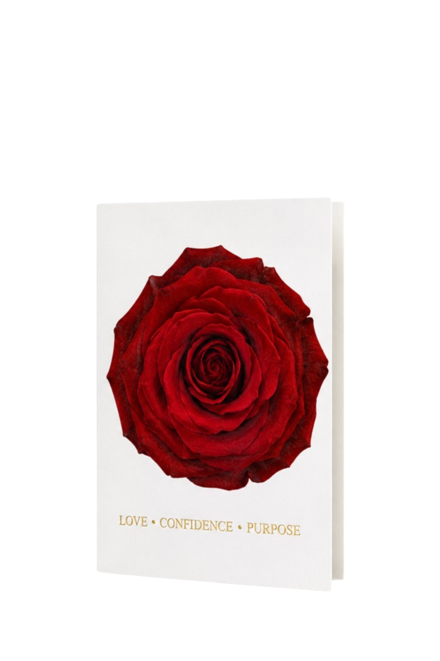 Complete Signature Rose Collection | An 8 Product Gift Set