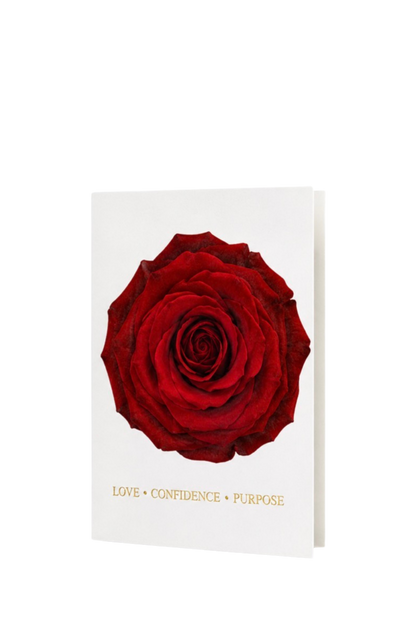 Complete Signature Rose Collection | An 8 Product Gift Set