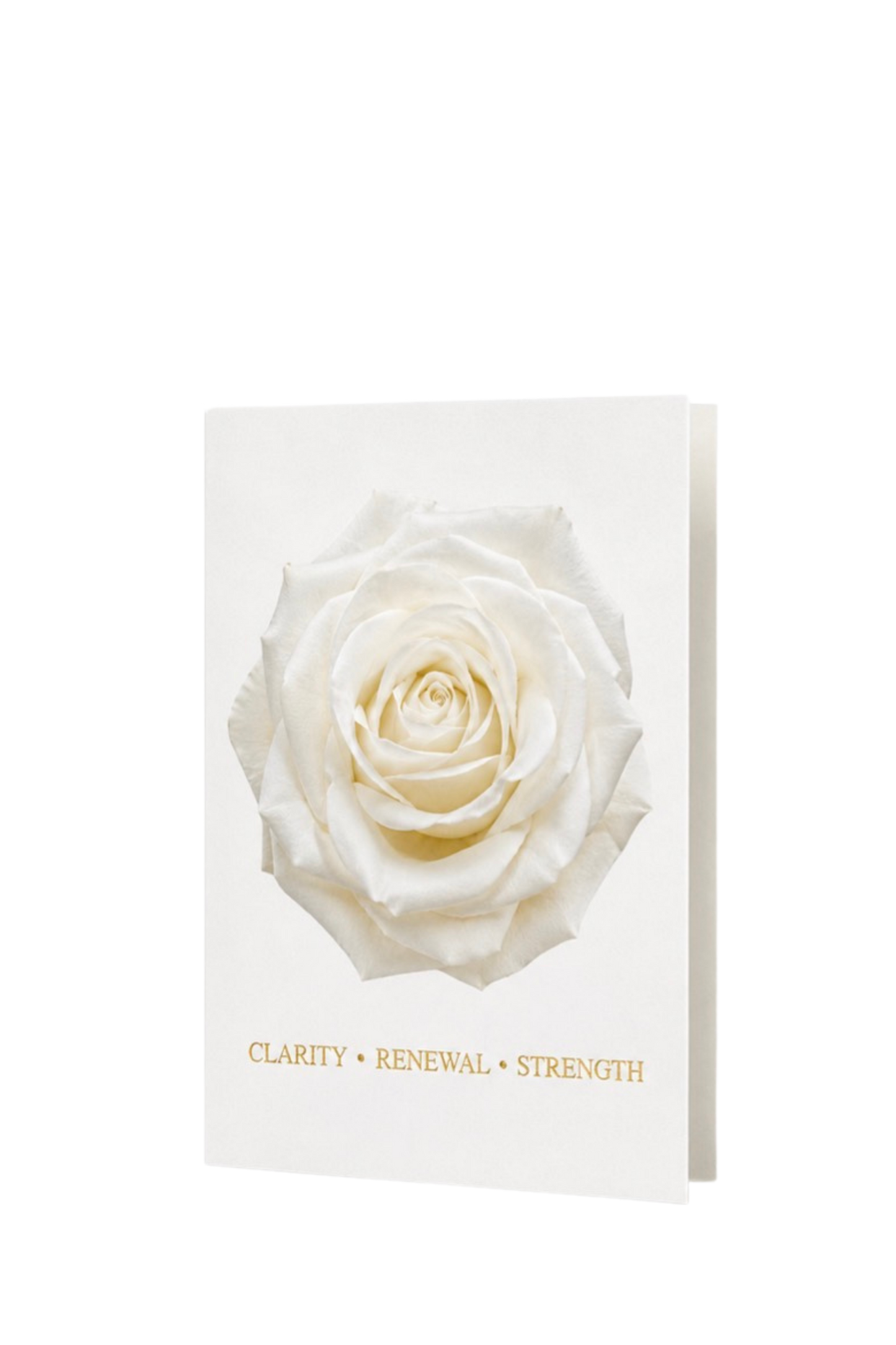 Clarity, Renewal & Strength | A White Rose 3-Piece Gift Set